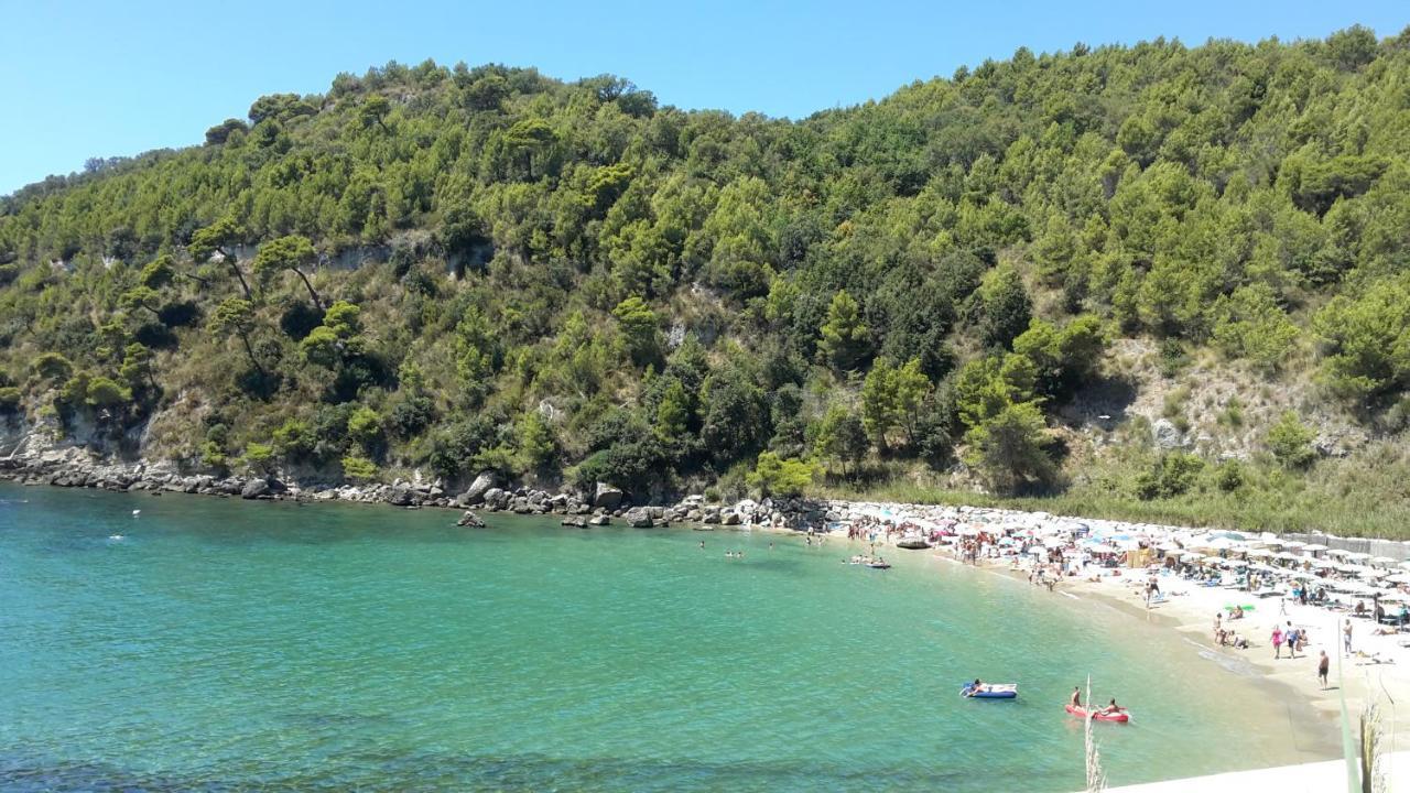 La Marina Gardens Beach 斯考里 外观 照片