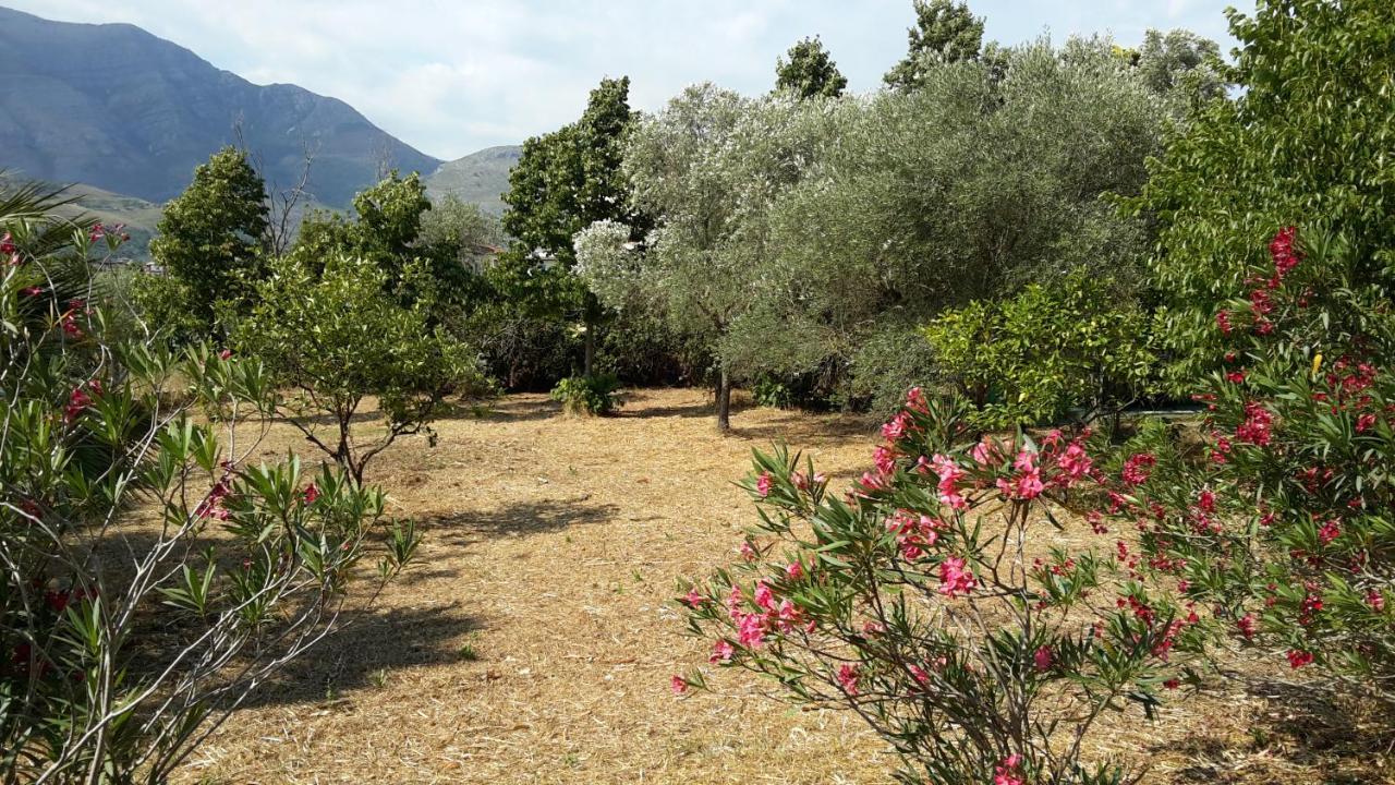 La Marina Gardens Beach 斯考里 外观 照片