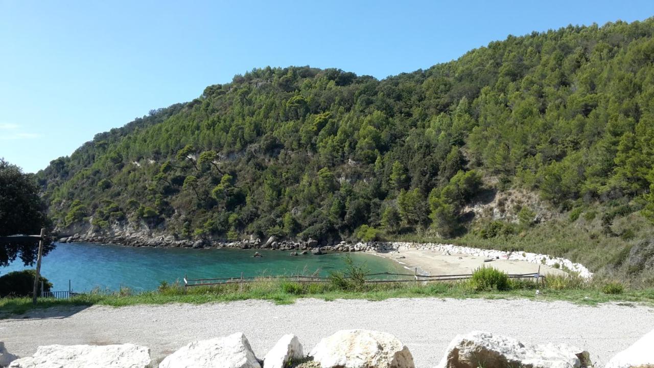 La Marina Gardens Beach 斯考里 外观 照片