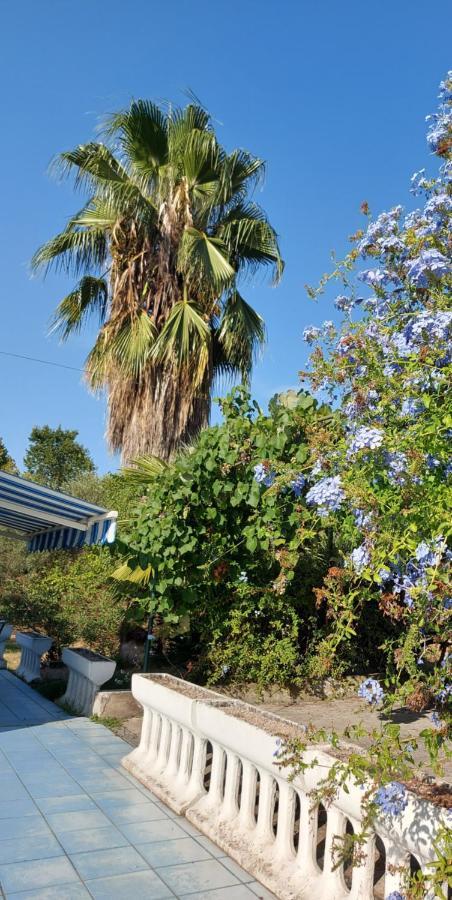 La Marina Gardens Beach 斯考里 外观 照片