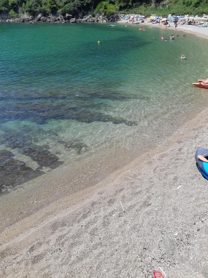 La Marina Gardens Beach 斯考里 外观 照片